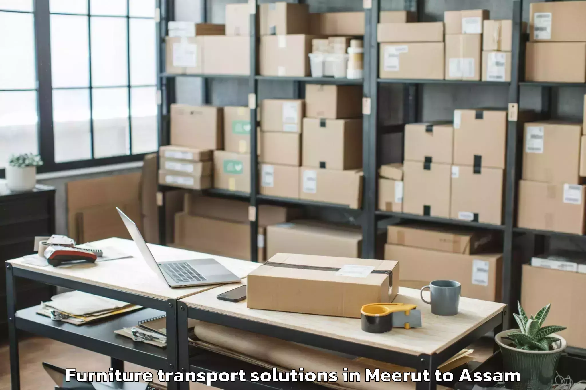 Comprehensive Meerut to Bengtol No Ii Furniture Transport Solutions